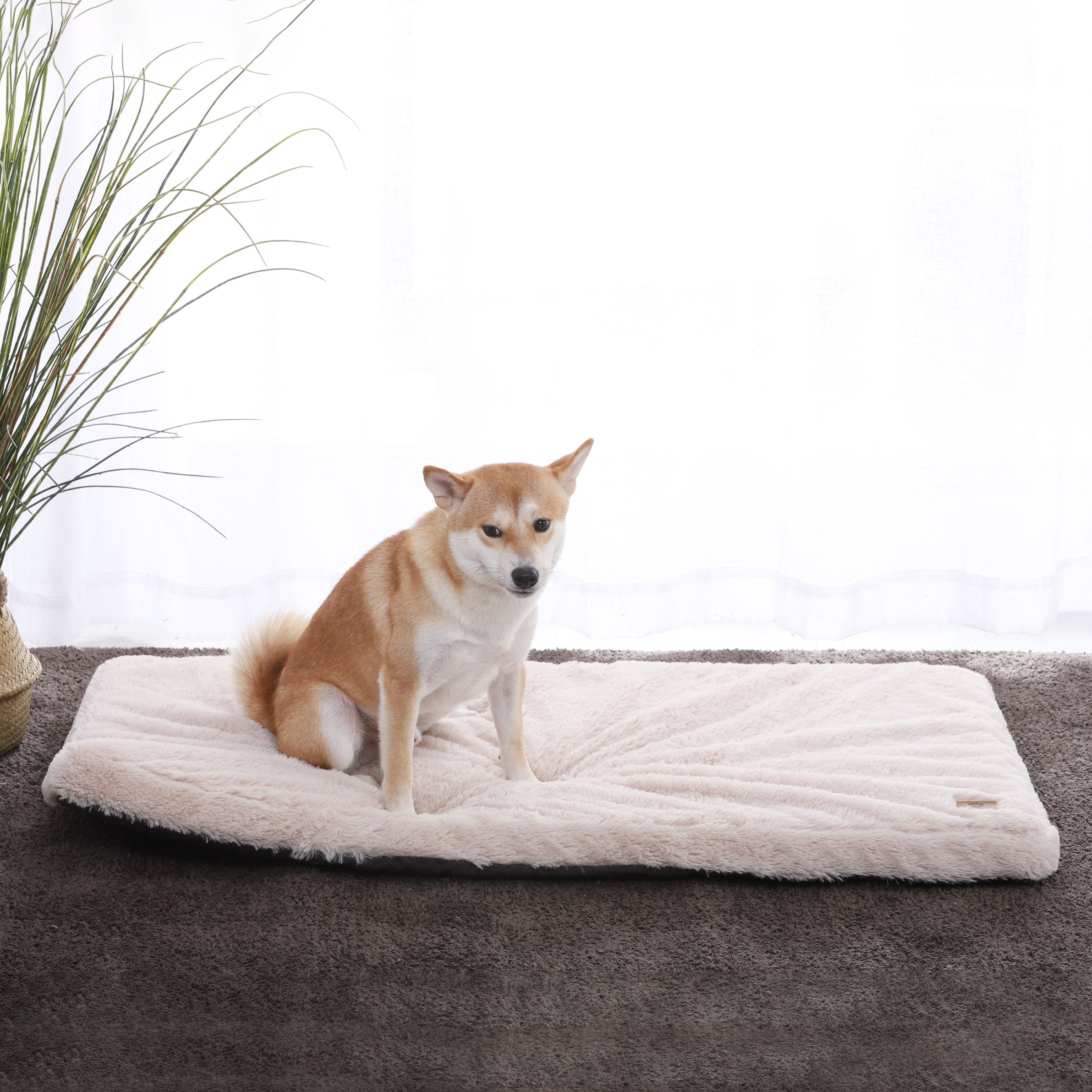 Padded dog mat deals