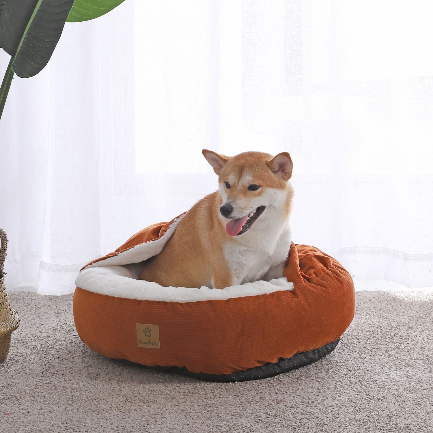 Snookie Hooded Pet Bed in Corduroy Terracotta Charlie s Pet