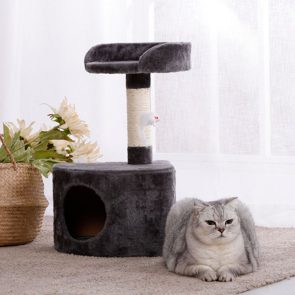 Corner Cat Tree with Cat Cave and Mouse Teaser Toy - Grey Charlie's Pet Products