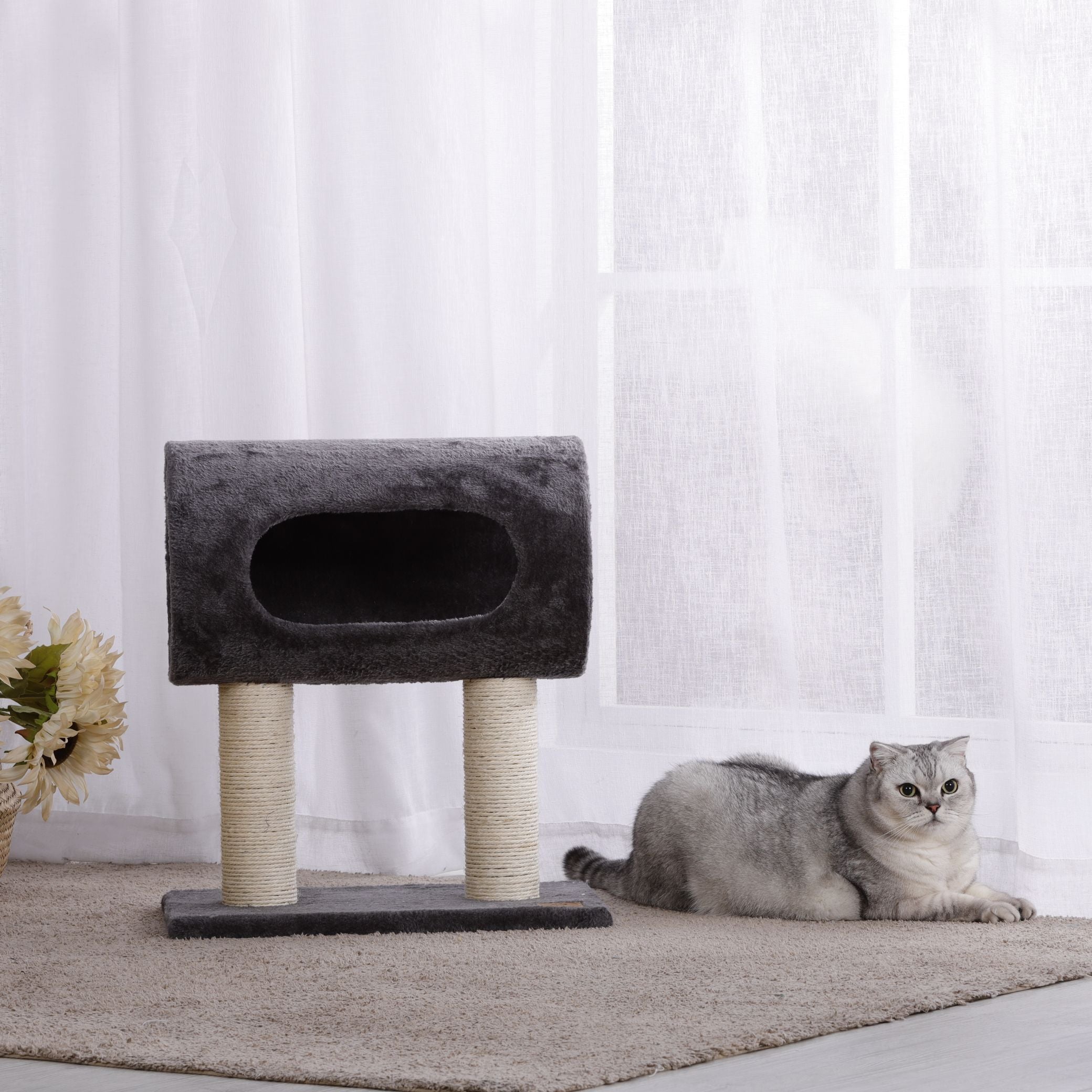 Cat scratching tunnel hot sale