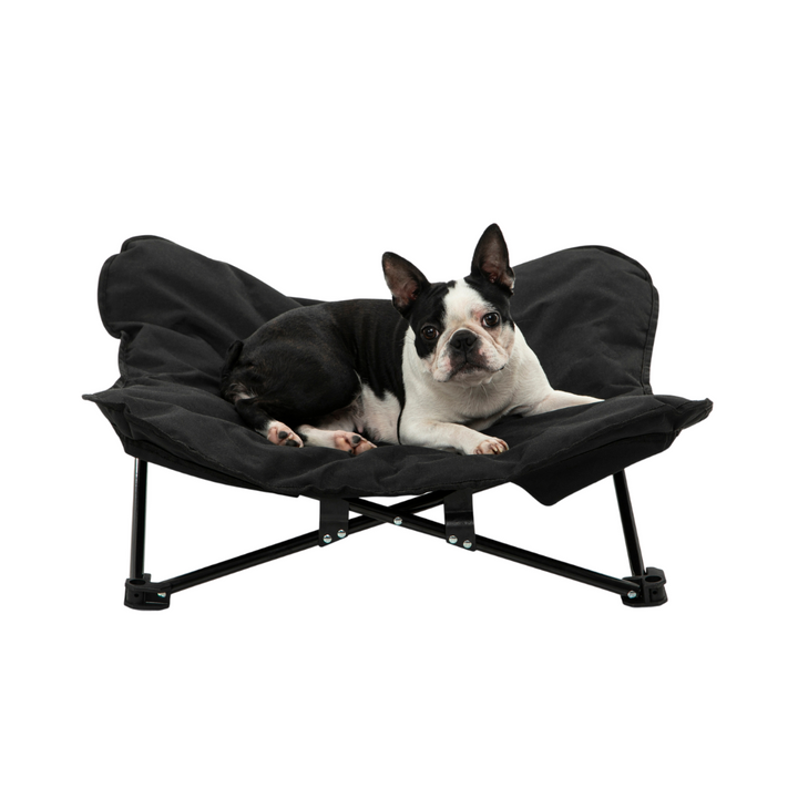 Butterfly Portable Folding Outdoor Pet Chair - Black Charlie's Pet Products