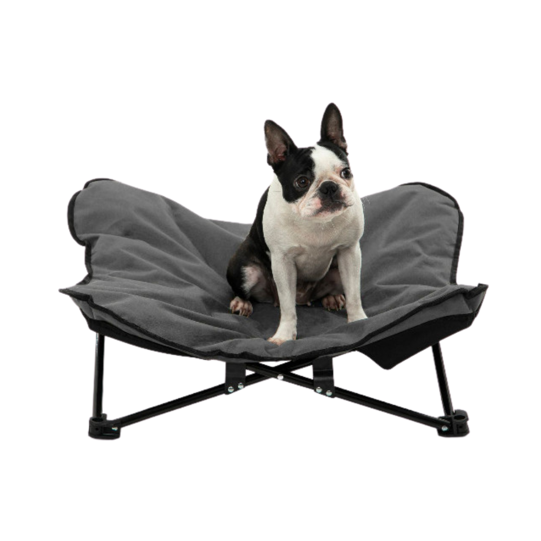 Camp beds for online dogs