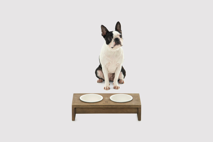 Raised Wooden Dual Pet Feeder with Porcelain Bowls Charlie's Pet Products
