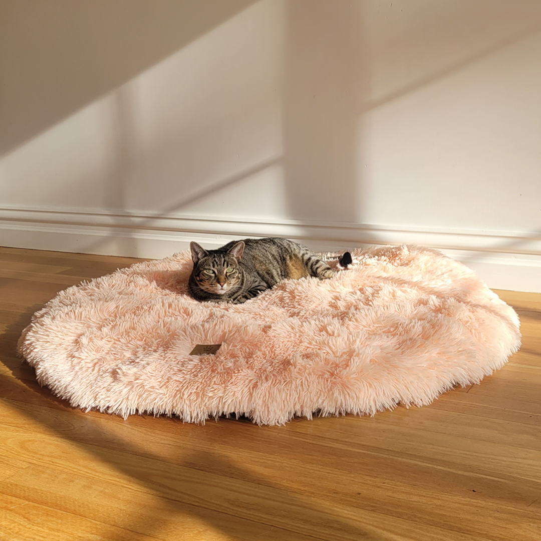 Shaggy Faux Fur Round Padded Lounge Mat - Soft Beige Charlie's Pet Products