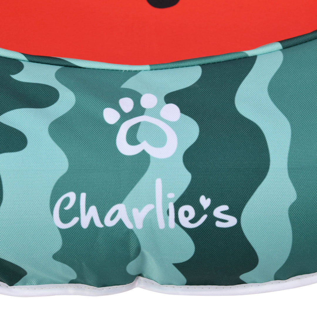 Pet Floaties - Watermelon Charlie's Pet Products