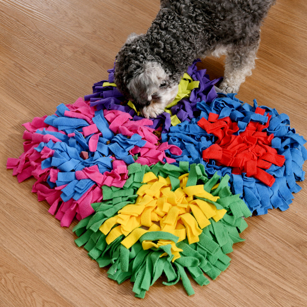 Snoofy Snuffle Mat 4-Quadrant Multicolour 47x47cm Charlie's Pet Products