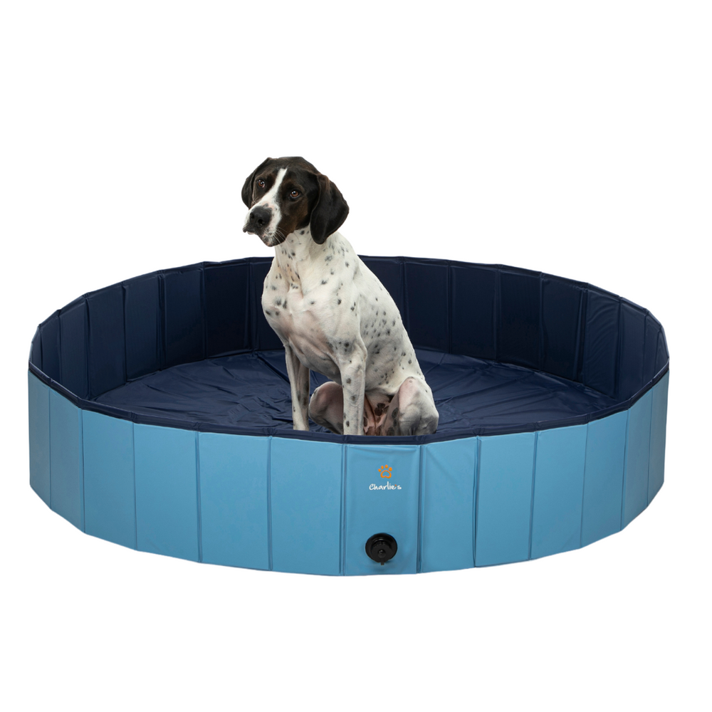 Portable Pet Pool Party Charlie's Pet Products