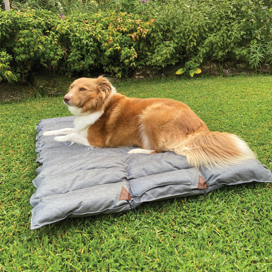 Padded online dog bed
